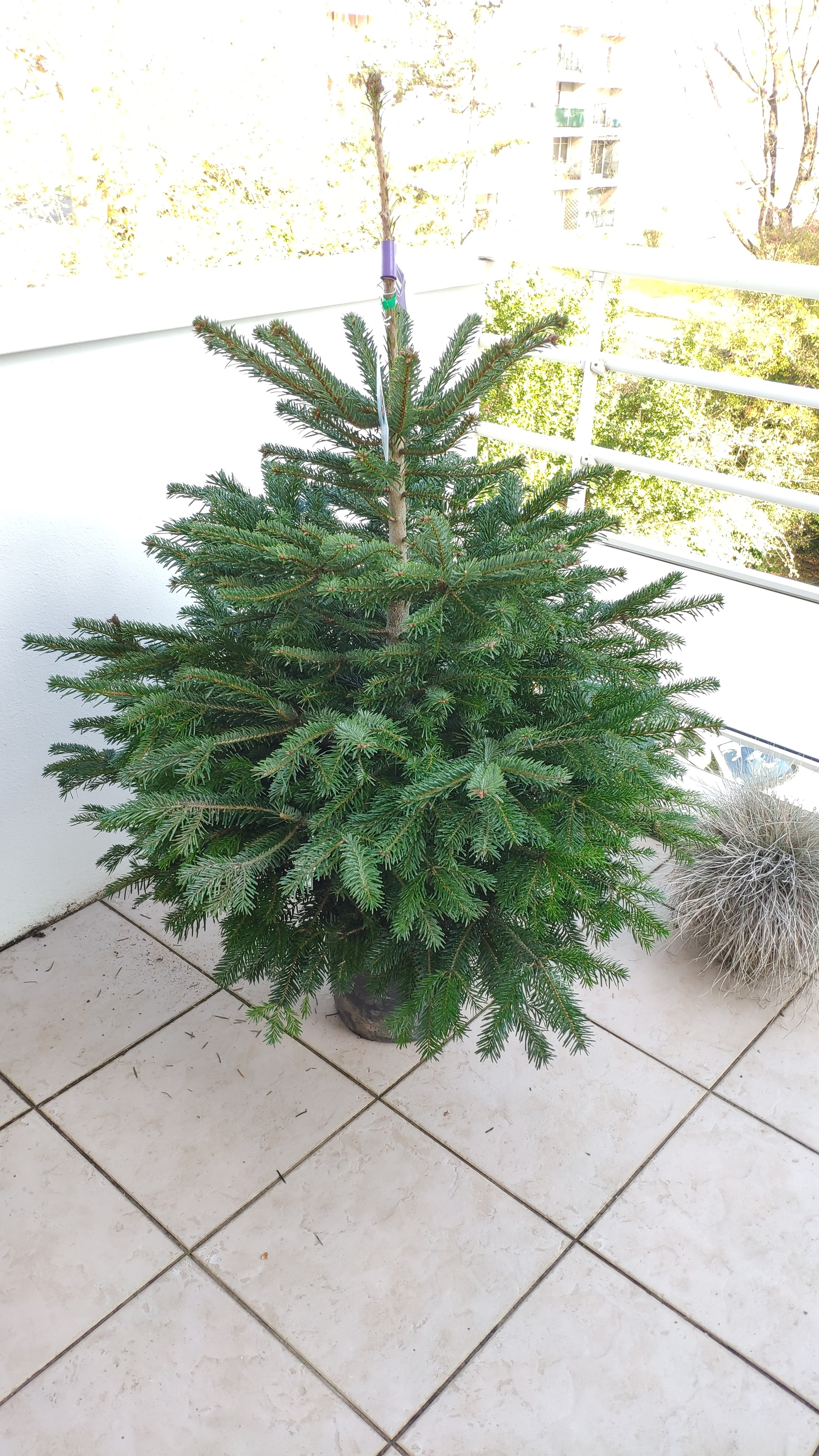 Photo n° 1 de l'avis de Jordi. fait le 29/11/2020 à 13:25