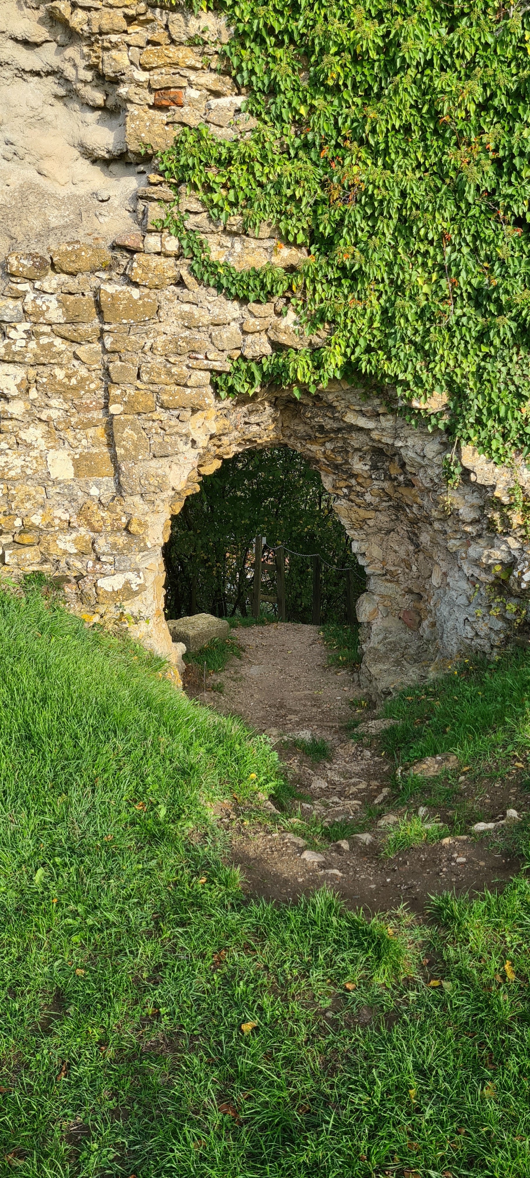 Photo n° 8 de l'avis de Mia.o fait le 26/10/2022 à 17:40