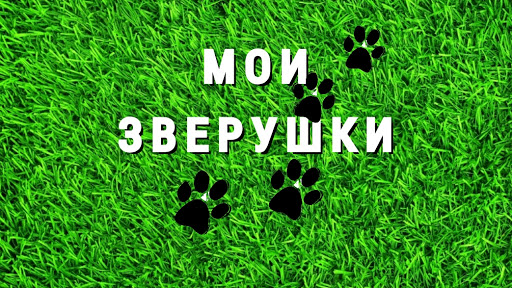 Машины в щучинске
