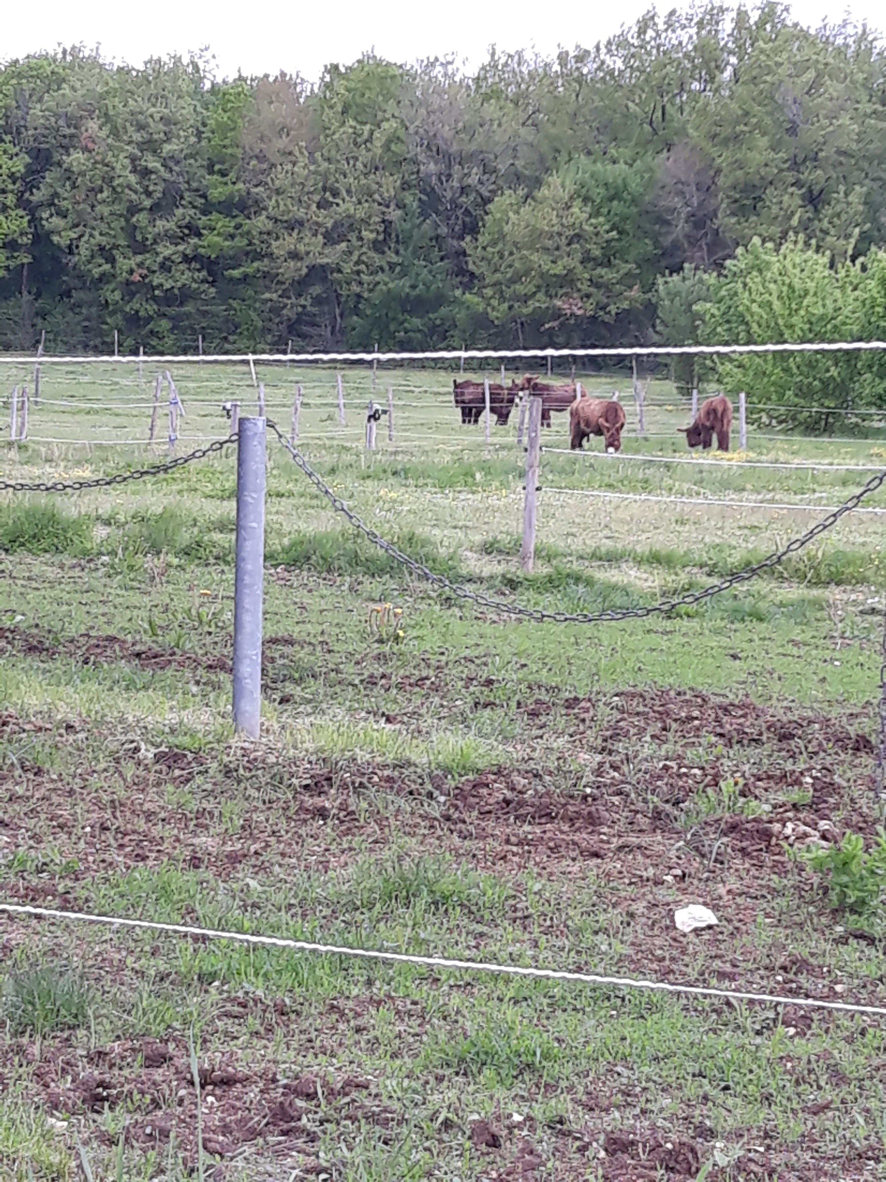 Photo n° 2 de l'avis de Nathalie.i fait le 28/04/2019 à 10:40