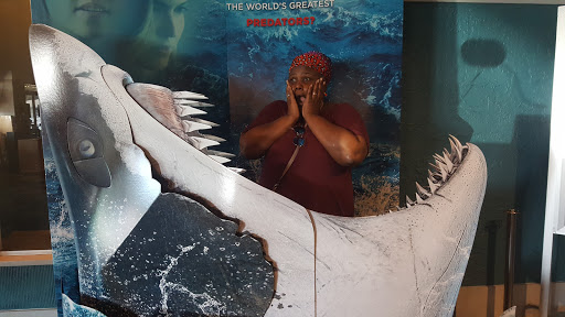 Movie Theater «B&B Theatres Sebring Fairmount Square Cinema 6», reviews and photos, 3750 US Hwy 27 S, Sebring, FL 33870, USA