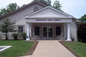 Monongahela Animal Hospital image