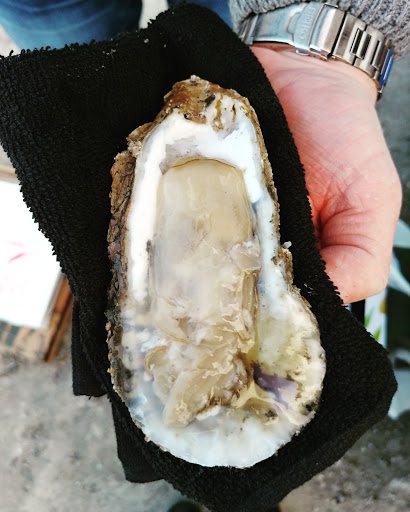 Oyster supplier Wilmington