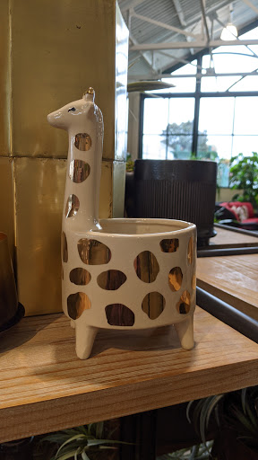 Garden Center «Pike Nurseries», reviews and photos, 615 W Crossville Rd, Roswell, GA 30075, USA