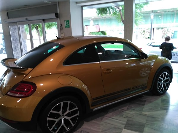Audi Safamotor Service