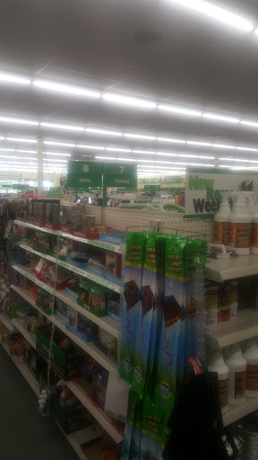Dollar Store «Dollar Tree», reviews and photos, 3201 Rolling Oaks Blvd, Kissimmee, FL 34747, USA