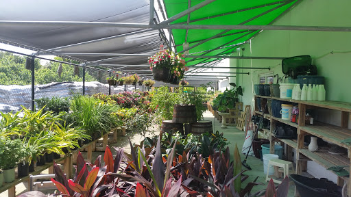 Hardware Store «Ace Hardware At Pineda Inc», reviews and photos, 5970 N Wickham Rd, Melbourne, FL 32940, USA