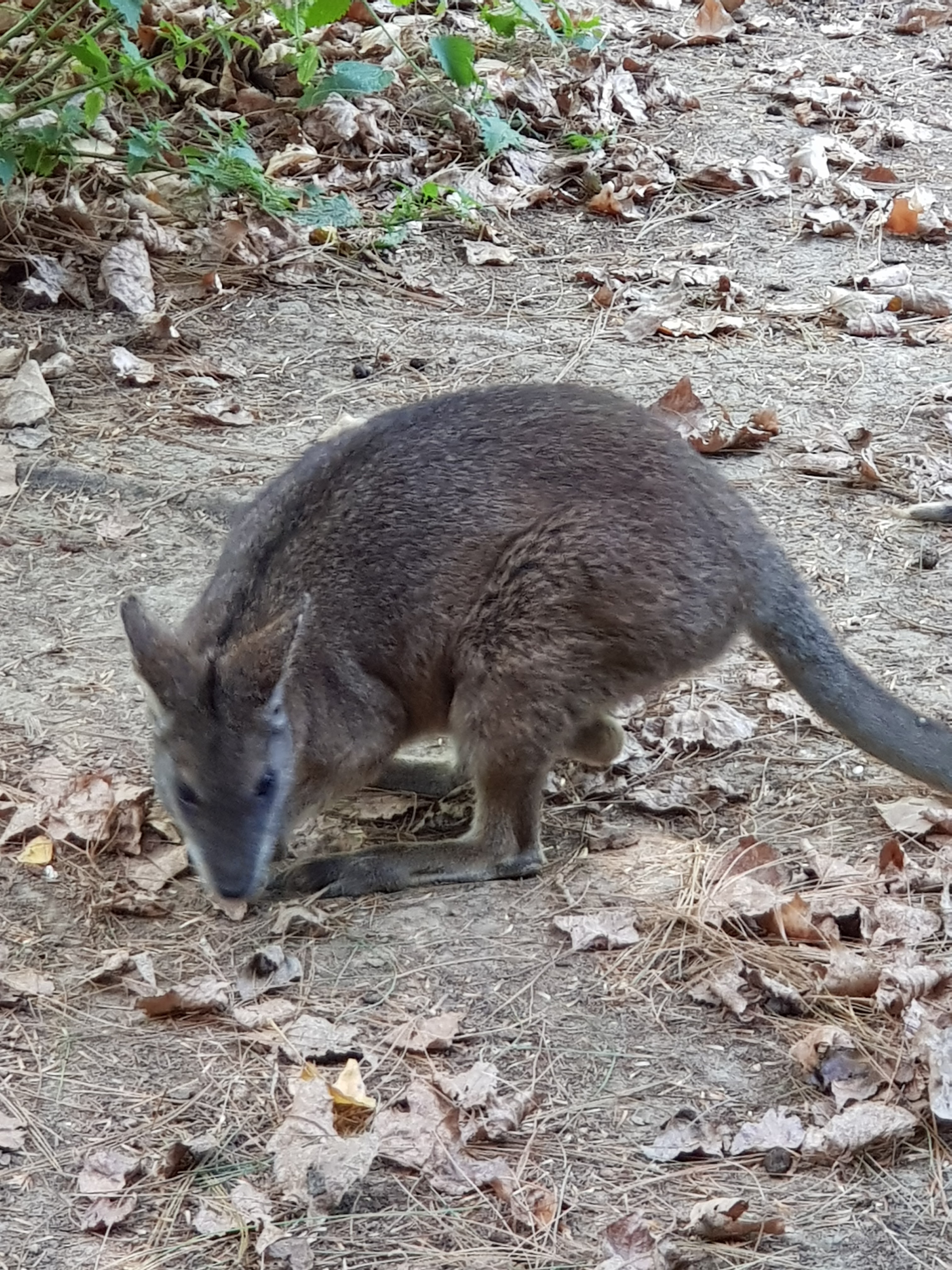 Photo n° 3 de l'avis de Christophe.a fait le 03/09/2018 à 09:17