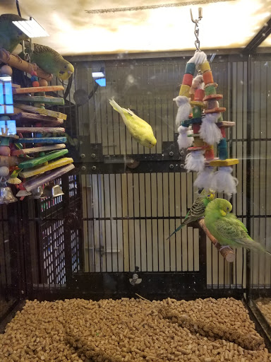 Pet Supply Store «PetSmart», reviews and photos, 16514 SW 88th St, Kendall, FL 33196, USA