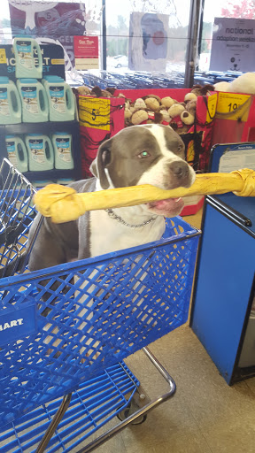 Pet Supply Store «PetSmart», reviews and photos, 299 Loudon Rd, Concord, NH 03301, USA