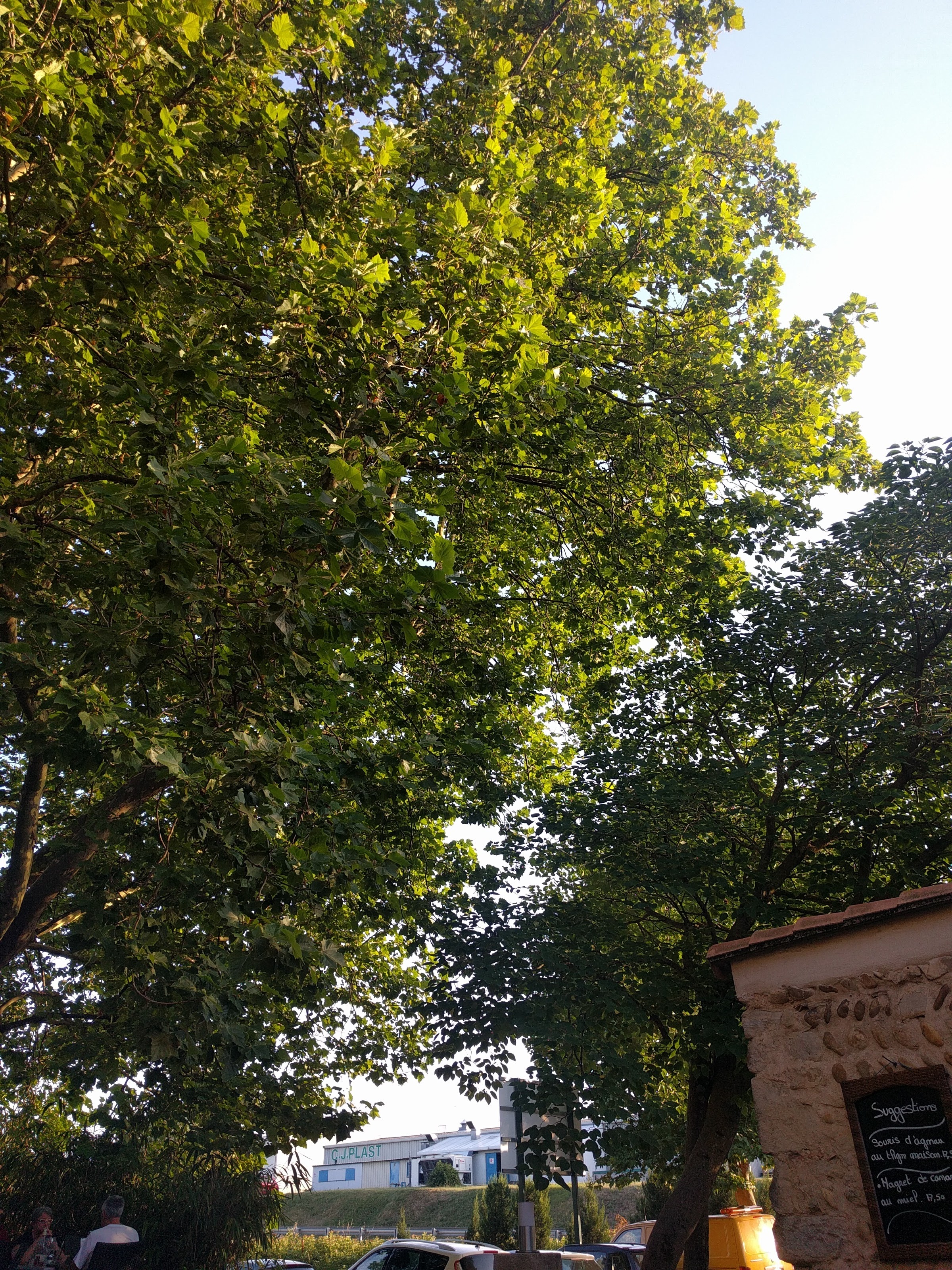 Photo n° 2 de l'avis de Didier.. fait le 07/07/2017 à 20:06