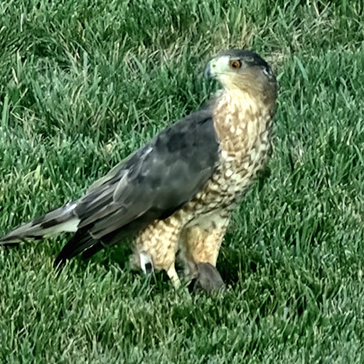 Park «Blandair Regional Park», reviews and photos, 5750 Oakland Mills Rd, Columbia, MD 21045, USA