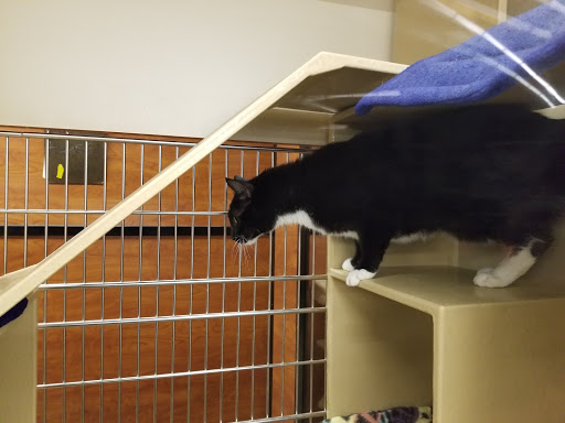 Pet Supply Store «PetSmart», reviews and photos, 9450 SE 82nd Ave, Portland, OR 97086, USA