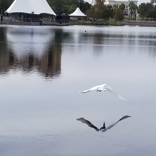 Park «Cranes Roost Park», reviews and photos, 274 Cranes Roost Blvd, Altamonte Springs, FL 32701, USA