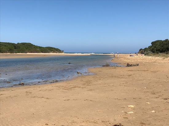 Breamlea Beach