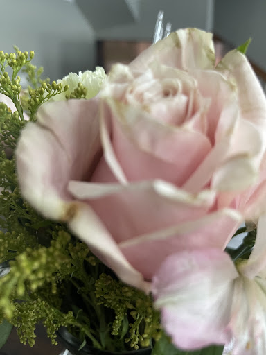 Florist «Frederick Florist», reviews and photos, 1816 Rosemont Ave, Frederick, MD 21702, USA