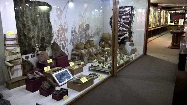 Opiniones de Museo Maggiorino Borgatello en Punta Arenas - Museo