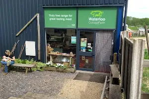 Waterloo Cottage Farm & Shop, regenerative & sustainable image