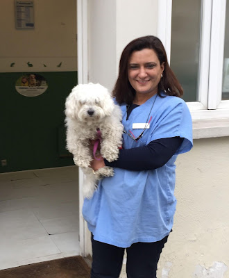 Vétérinaire Chaibi Amira à Boulogne-Billancourt