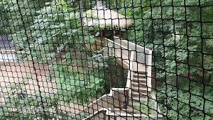 Treehouse World - photo 34