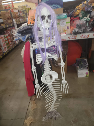 Grocery Store «Grocery Outlet Bargain Market», reviews and photos, 102 Cross St SE, Auburn, WA 98002, USA