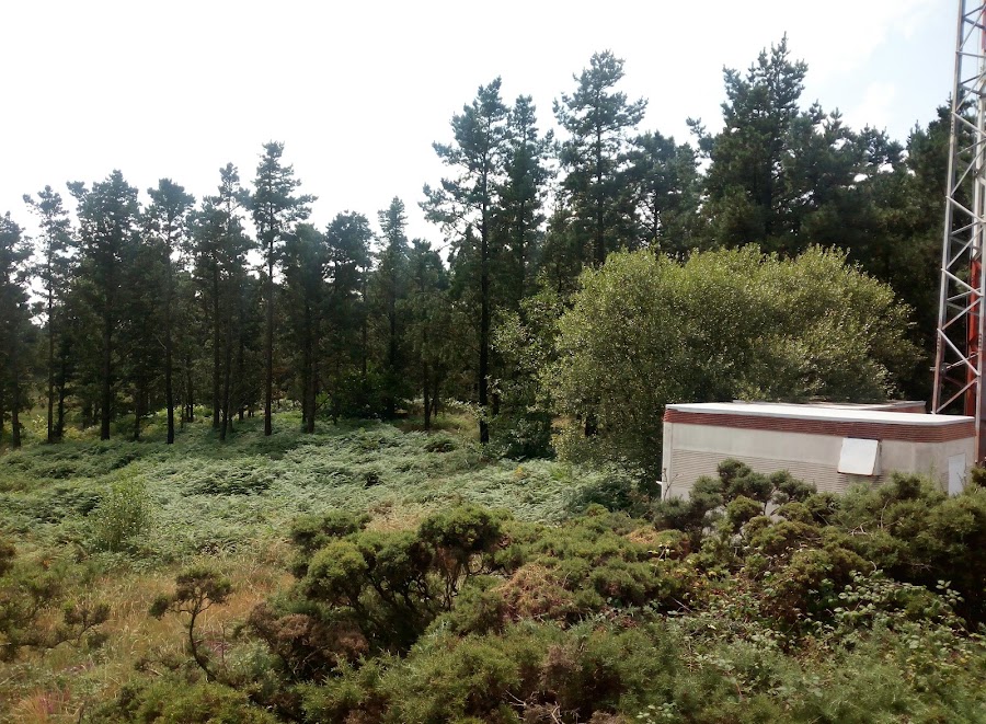 Monte Xalo
