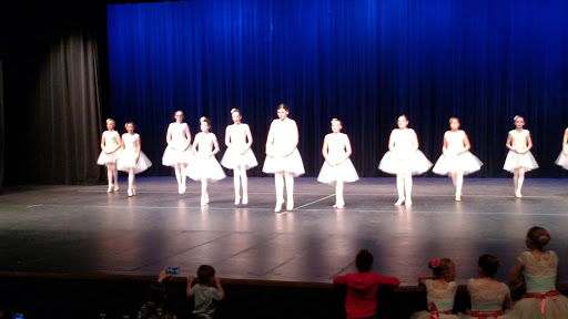 Performing Arts Theater «Jane Tasch Performing Arts Theatre», reviews and photos, 2100 E Michigan 36, Pinckney, MI 48169, USA