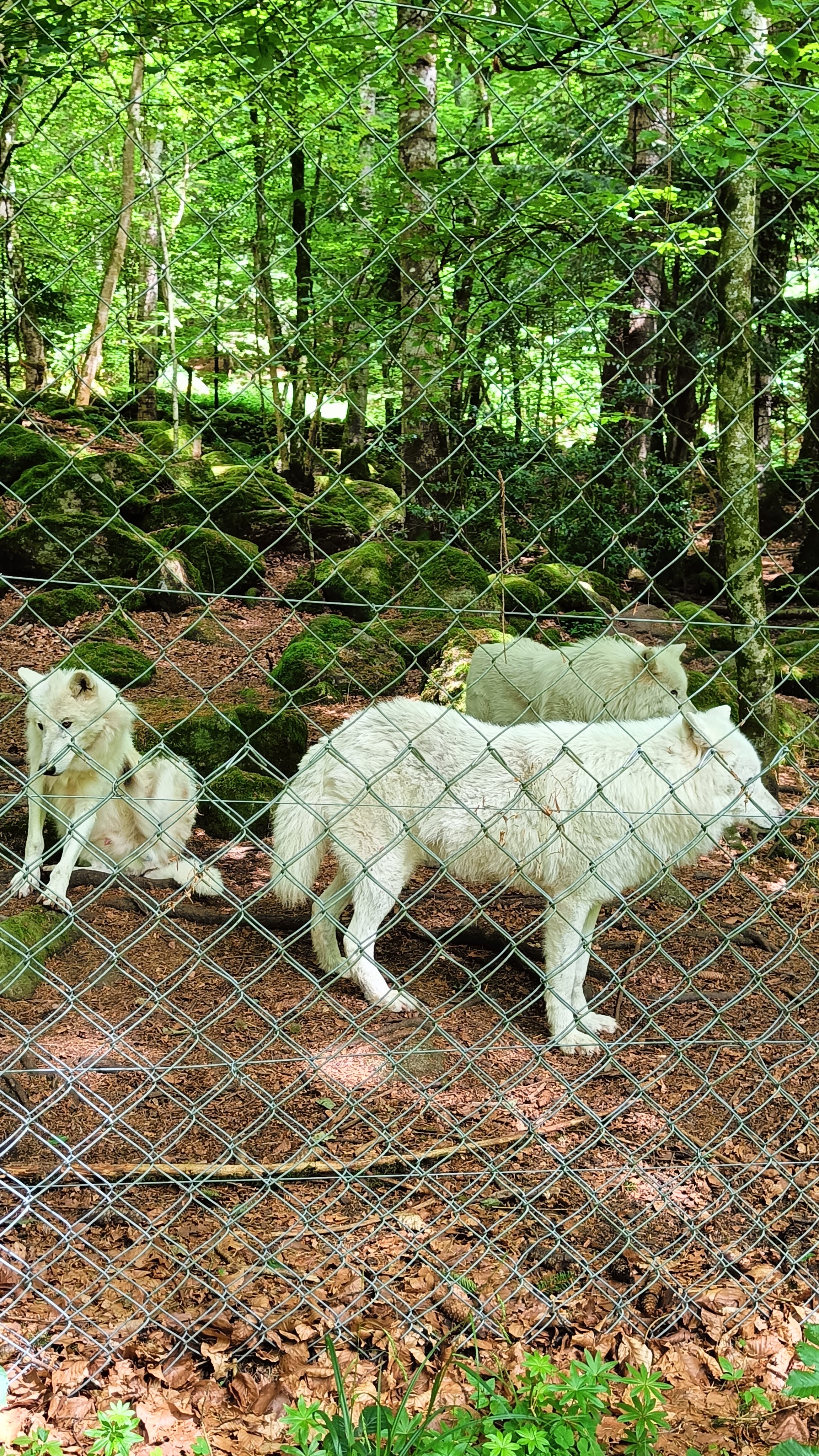 Photo n° 9 de l'avis de Nadège.N fait le 31/05/2022 à 18:17