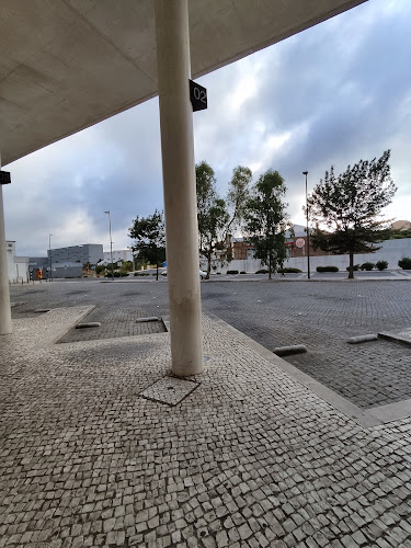 Terminal Rodoviário de Rio Maior - Serviço de transporte