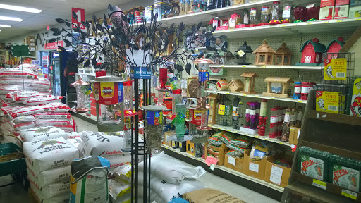 Hardware Store «True Value Midtown Hardware Tulsa», reviews and photos, 4311 E 31st St, Tulsa, OK 74135, USA