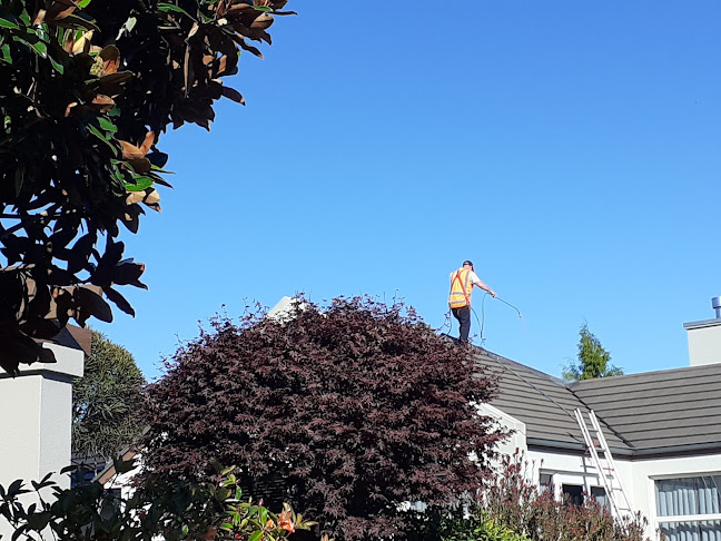 Burrows Roof Cleaning Services