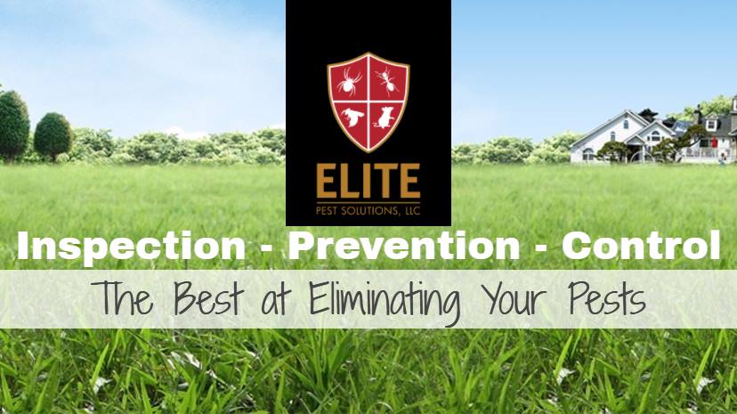 Elite Pest Solutions, LLC