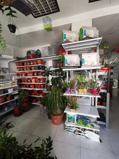 Arcofauna en Arcos de la Frontera, Cádiz