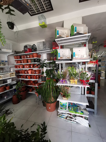 Arcofauna — Tiendas de mascotas en Arcos de la Frontera