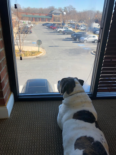 Insurance Agency «Allstate Insurance Agent: Tedd Schodzinski», reviews and photos