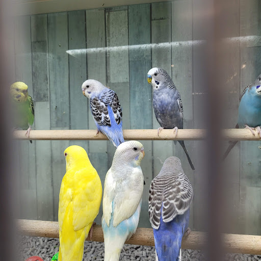 Pet Supply Store «Pet Food Center», reviews and photos, 4036 N First Ave, Evansville, IN 47710, USA