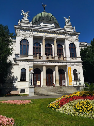 Recenze na Historická výstavní budova Slezského zemského muzea v Opava - Muzeum