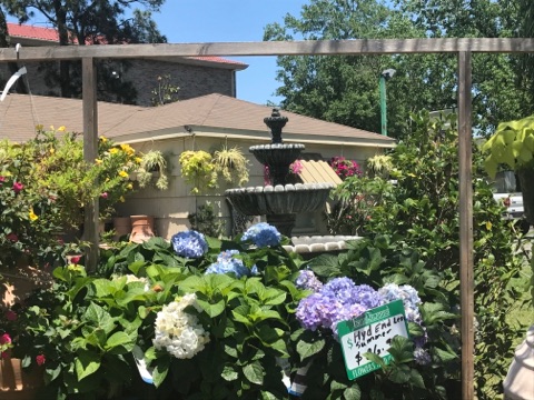 Florist «Tanglewood Flowers & Garden», reviews and photos, 5518 Dolores St, Houston, TX 77056, USA