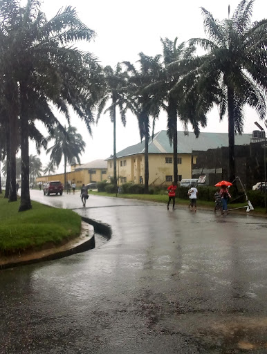 Port Harcourt Polytechnic, Captain Elechi Amadi Polytechnic, Rumuomei 100001, Port Harcourt, Nigeria, Public School, state Rivers