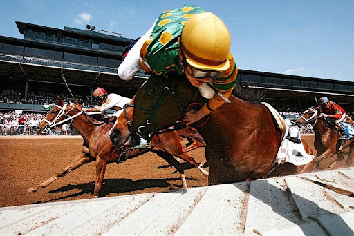 Home Improvement Store «Tractor Supply Co.», reviews and photos, 801 I-35, Georgetown, TX 78626, USA