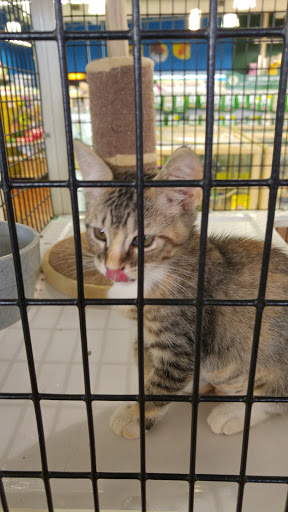 Pet Supply Store «Pet Supermarket», reviews and photos, 1338 Del Prado Blvd, Cape Coral, FL 33990, USA