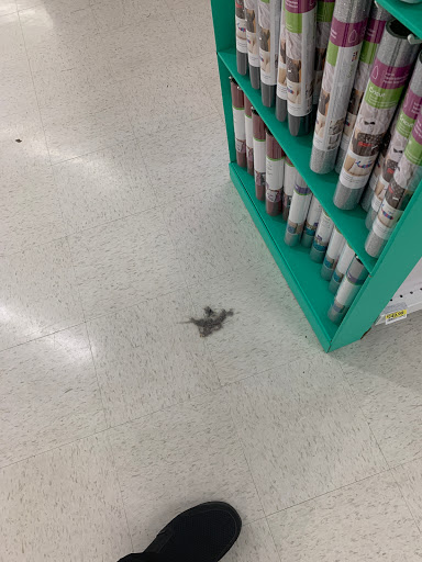 Fabric Store «Jo-Ann Fabrics and Crafts», reviews and photos, 615 Belair Rd Ste F, Bel Air, MD 21014, USA