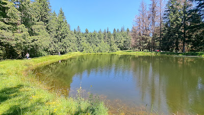 Étang du Mont Bessou à Meymac