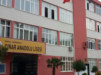 Çınar Anadolu Lisesi