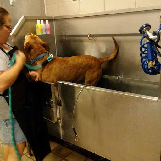 Pet Supply Store «Pet Supplies Plus», reviews and photos, 1791 W Columbia Ave, Battle Creek, MI 49015, USA