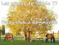 Les Poneys De Sophie 77 Remauville