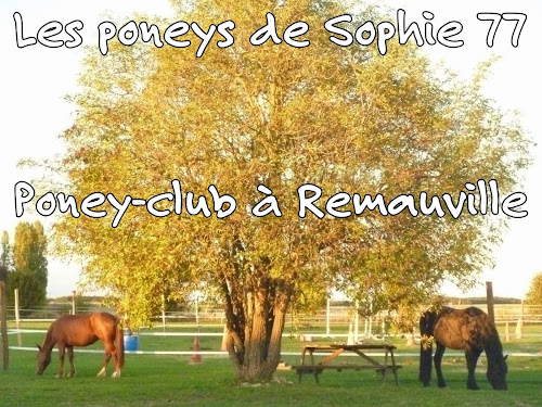 Les Poneys De Sophie 77 à Remauville