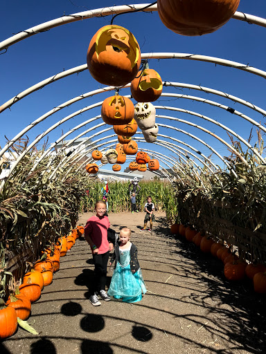 Produce Market «Kuwahara Farms», reviews and photos, 736 12300 S, Draper, UT 84020, USA