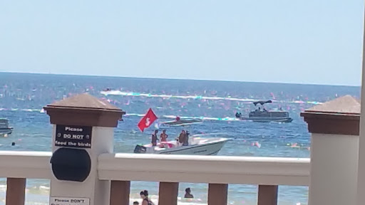 Seafood Restaurant «Gulfshore Grill and The Cottage Beach Bar», reviews and photos, 1250 Estero Blvd, Fort Myers Beach, FL 33931, USA