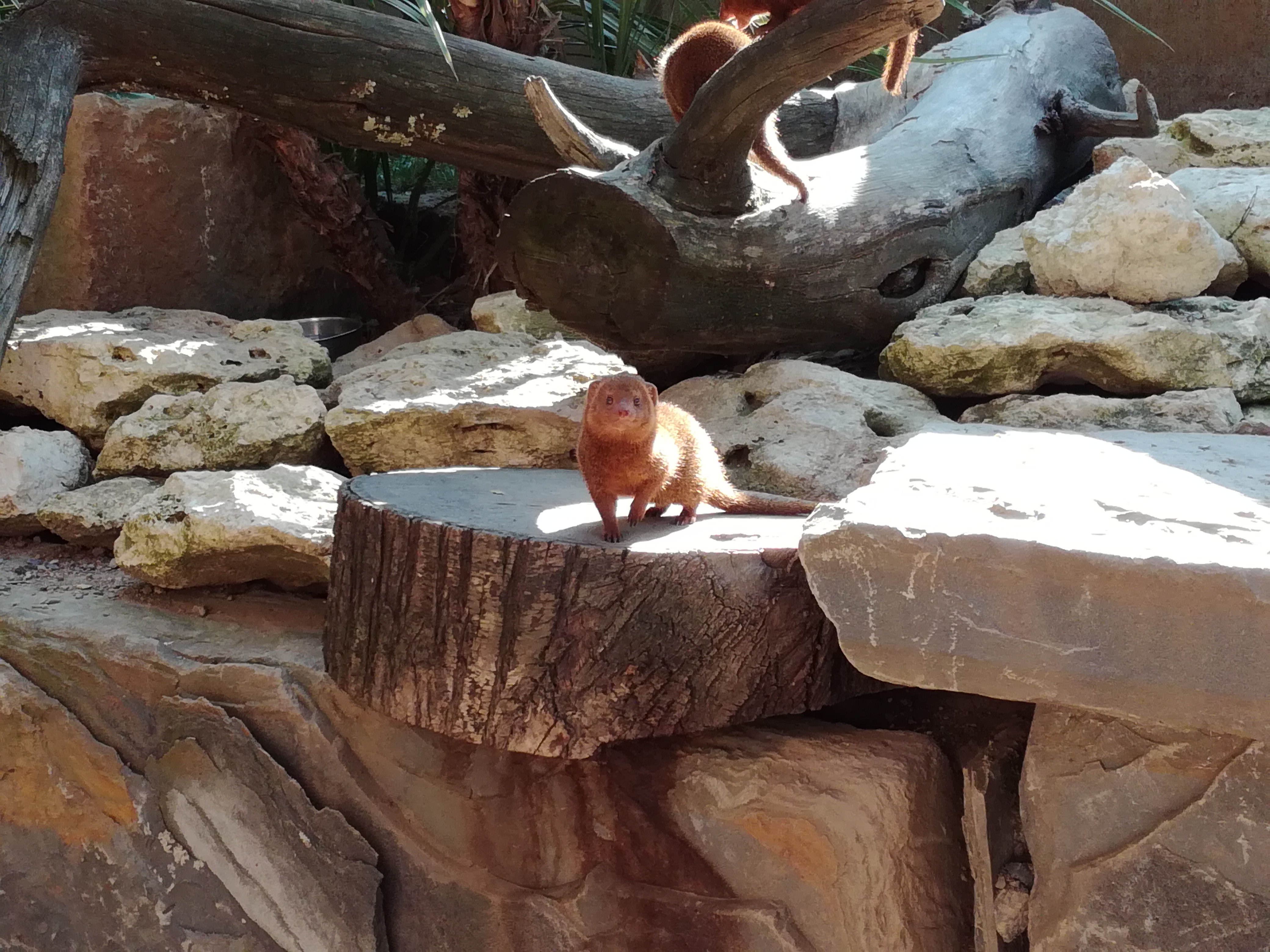 Photo n° 5 de l'avis de Belasco.i fait le 09/08/2021 à 10:20